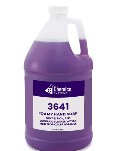 FOAMY HAND SOAP (3641)